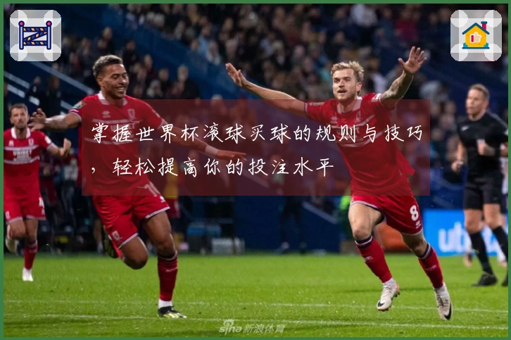掌握世界杯滚球买球的规则与技巧，轻松提高你的投注水平