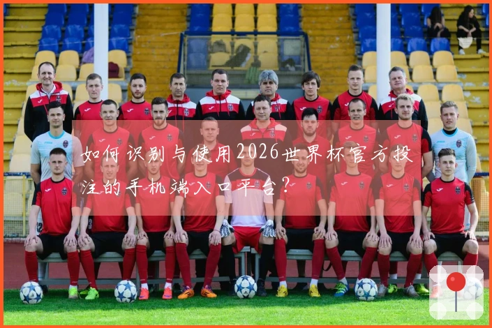 如何识别与使用2026世界杯官方投注的手机端入口平台？