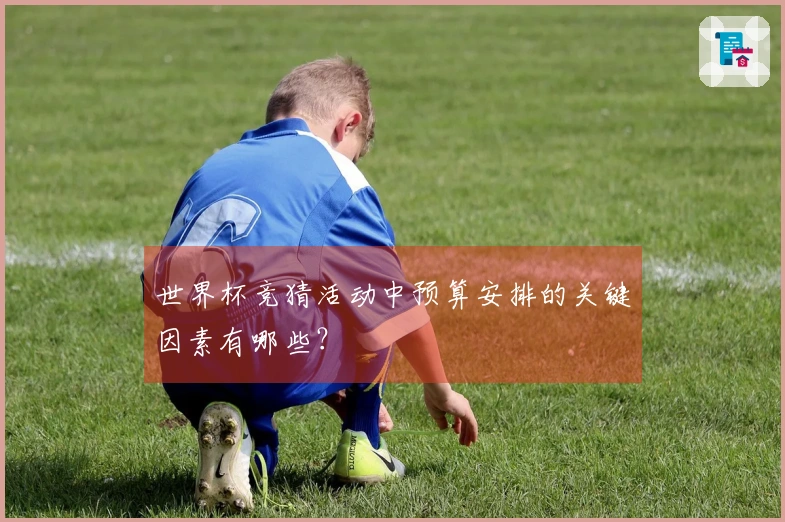 世界杯竞猜活动中预算安排的关键因素有哪些？