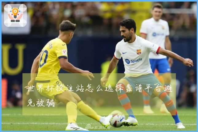 世界杯投注站怎么选择靠谱平台避免被骗