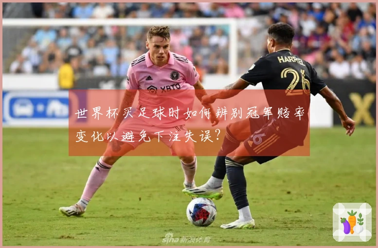 世界杯买足球时如何辨别冠军赔率变化以避免下注失误？
