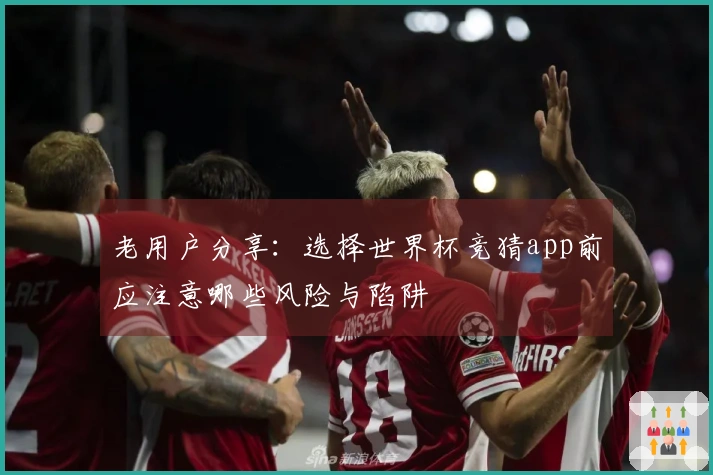老用户分享：选择世界杯竞猜app前应注意哪些风险与陷阱