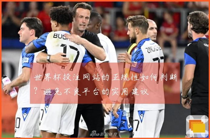 世界杯投注网站的正规性如何判断？避免不良平台的实用建议