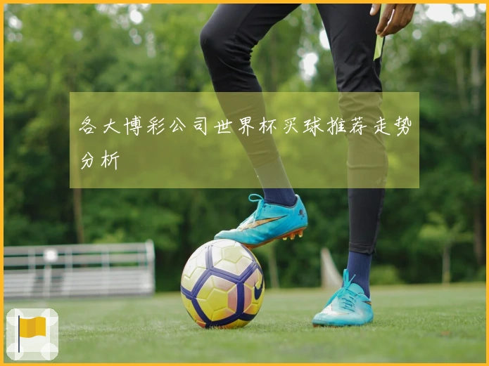 各大博彩公司世界杯买球推荐走势分析