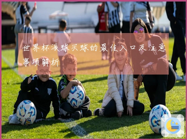 世界杯滚球买球的最佳入口及注意事项解析
