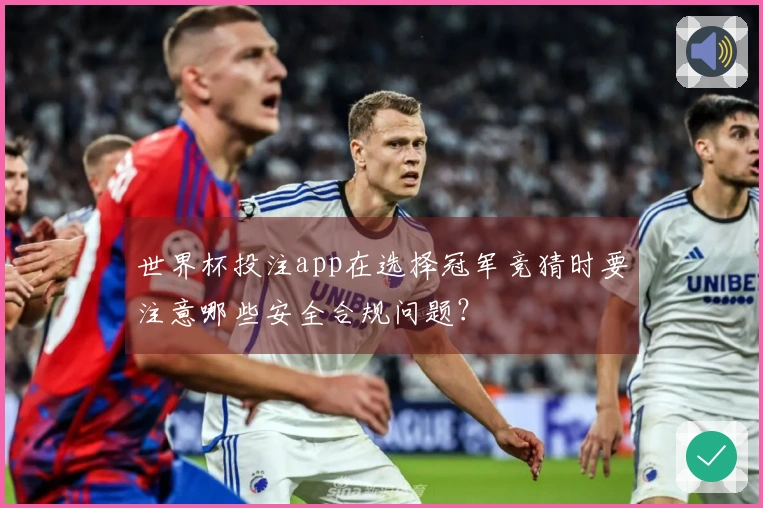 世界杯投注app在选择冠军竞猜时要注意哪些安全合规问题？