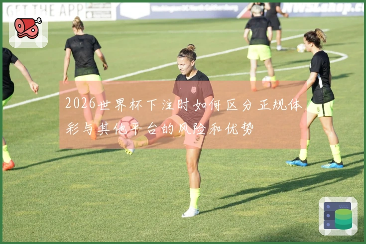 2026世界杯下注时如何区分正规体彩与其他平台的风险和优势