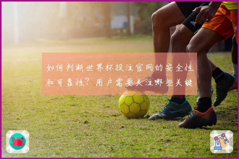 如何判断世界杯投注官网的安全性和可靠性？用户需要关注哪些关键点？