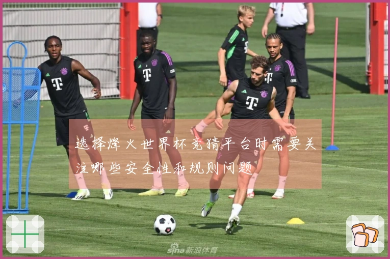 选择烽火世界杯竞猜平台时需要关注哪些安全性和规则问题