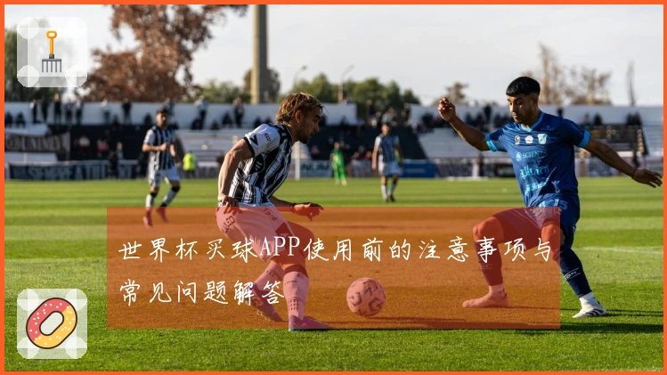世界杯买球APP使用前的注意事项与常见问题解答