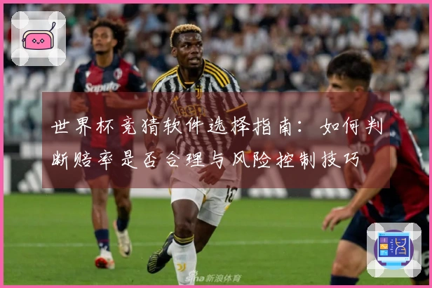 世界杯竞猜软件选择指南：如何判断赔率是否合理与风险控制技巧