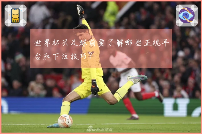 世界杯买足球前要了解哪些正规平台和下注技巧？