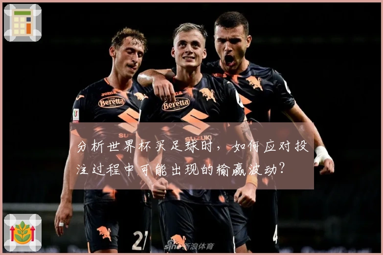 分析世界杯买足球时，如何应对投注过程中可能出现的输赢波动？