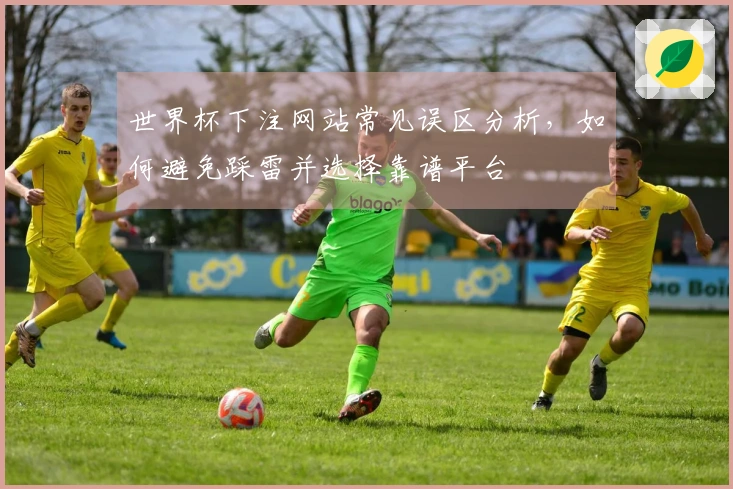 世界杯下注网站常见误区分析，如何避免踩雷并选择靠谱平台