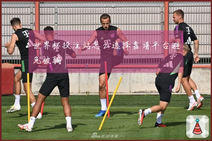 世界杯投注站怎么选择靠谱平台避免被骗