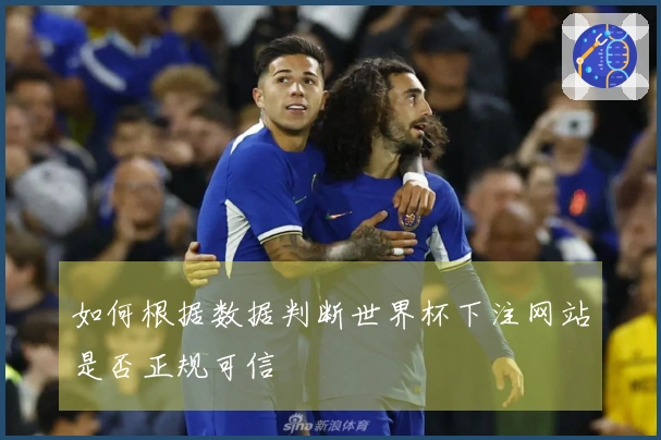 如何根据数据判断世界杯下注网站是否正规可信