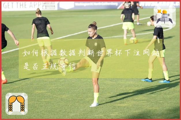 如何根据数据判断世界杯下注网站是否正规可信