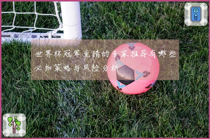 世界杯冠军竞猜的专家推荐有哪些必知策略与风险分析
