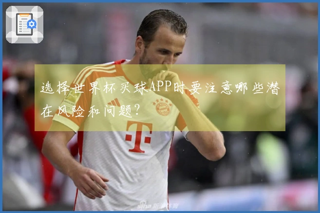 选择世界杯买球APP时要注意哪些潜在风险和问题？