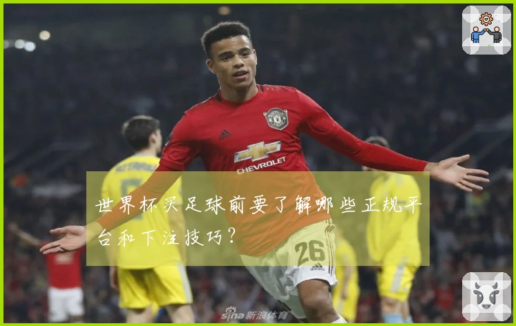 世界杯买足球前要了解哪些正规平台和下注技巧？
