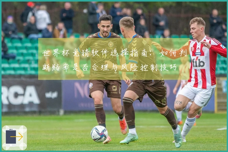 世界杯竞猜软件选择指南：如何判断赔率是否合理与风险控制技巧