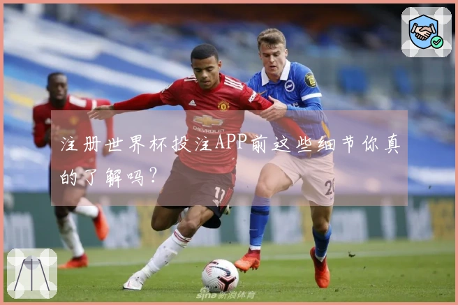 注册世界杯投注APP前这些细节你真的了解吗？