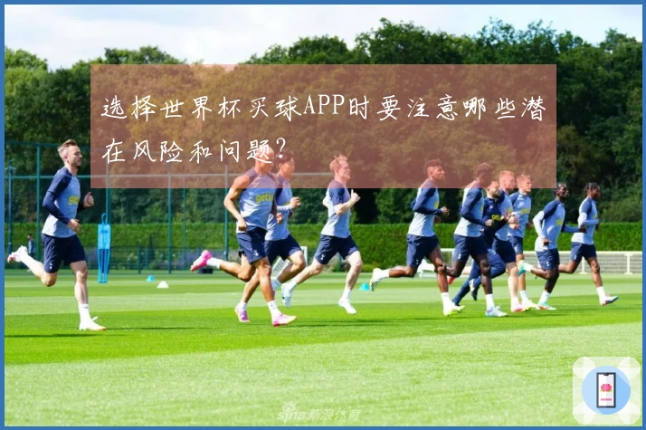 选择世界杯买球APP时要注意哪些潜在风险和问题？