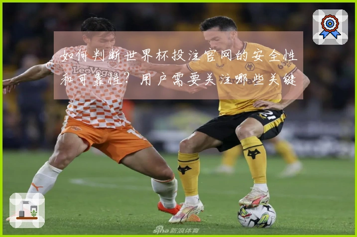 如何判断世界杯投注官网的安全性和可靠性？用户需要关注哪些关键点？