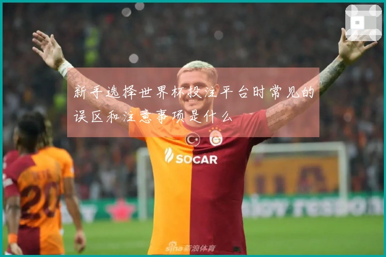 新手选择世界杯投注平台时常见的误区和注意事项是什么