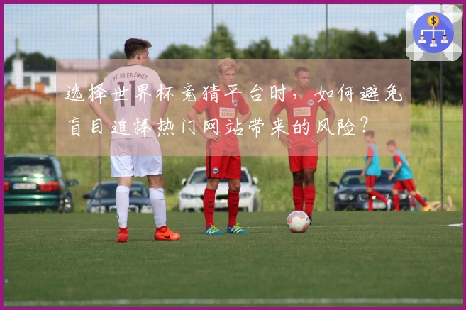选择世界杯竞猜平台时，如何避免盲目追捧热门网站带来的风险？