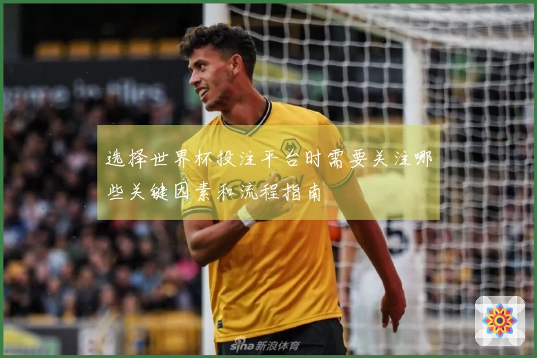 选择世界杯投注平台时需要关注哪些关键因素和流程指南