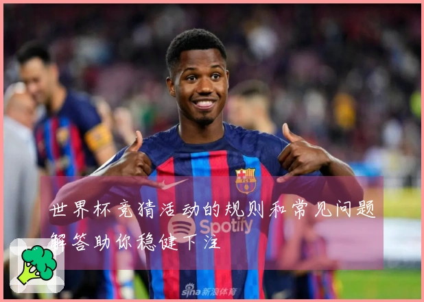 世界杯竞猜活动的规则和常见问题解答助你稳健下注